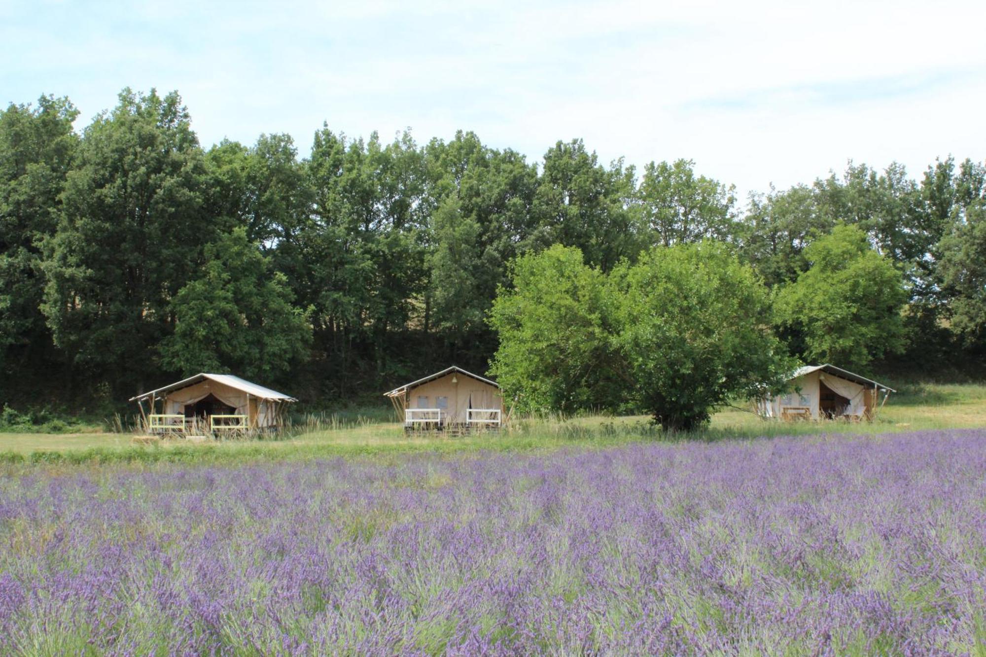 Hotel Les Anes De Forcalquier Zewnętrze zdjęcie