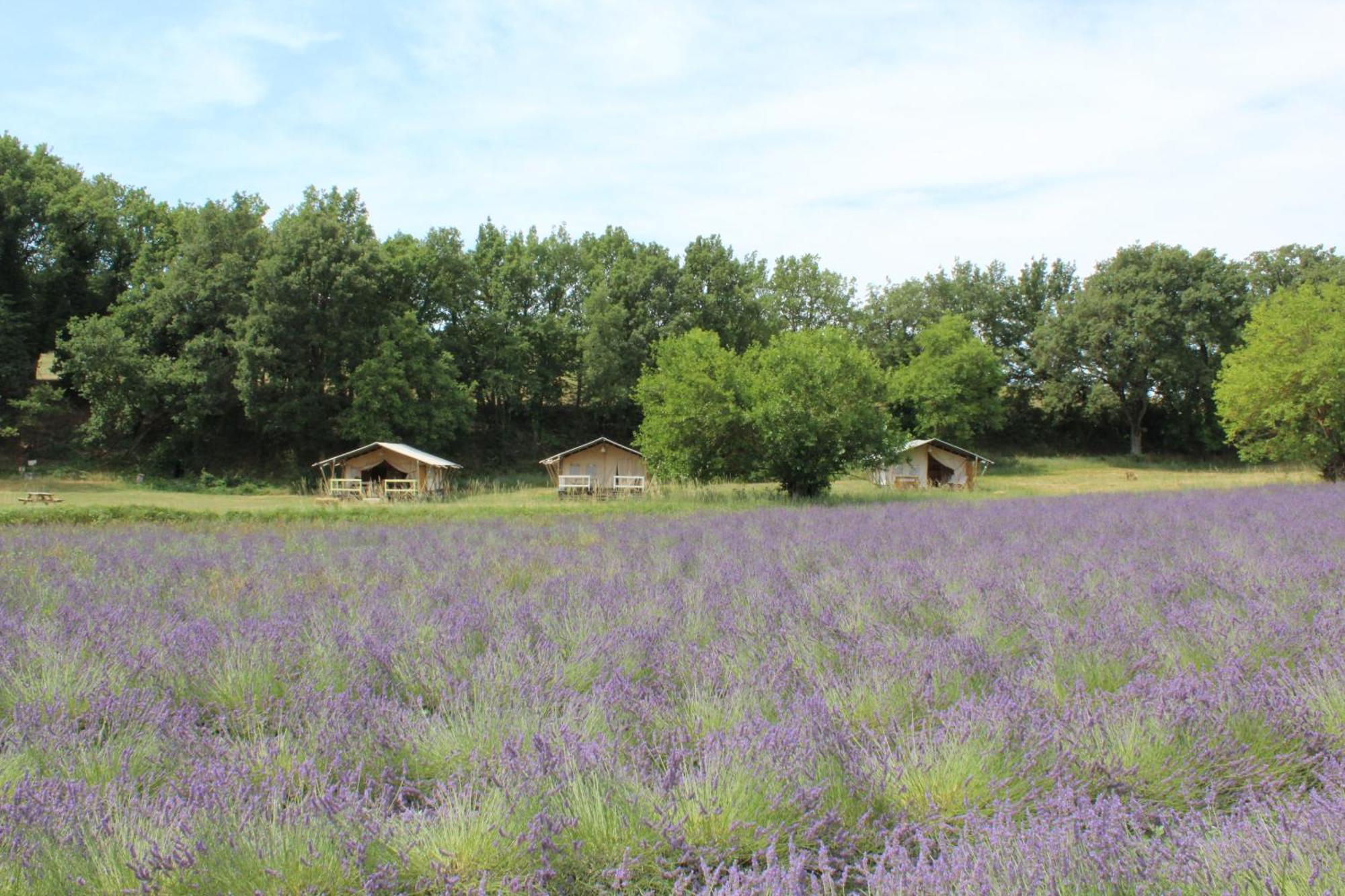 Hotel Les Anes De Forcalquier Zewnętrze zdjęcie