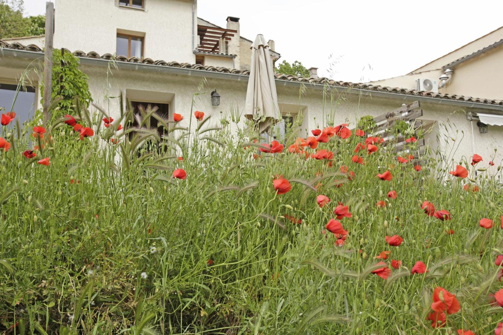 Hotel Les Anes De Forcalquier Pokój zdjęcie